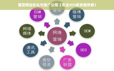 莆田網(wǎng)站優(yōu)化與推廣公司(專業(yè)SEO服務(wù)提供商)