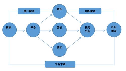 知行合一 寒假社會實踐進行時 十