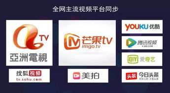 怎樣做財經節目才能突破沒人看的尷尬境地