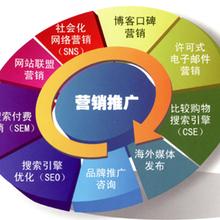 山東藍(lán)科云信息